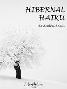 Andrei Baciu: Hibernal haiku