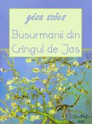 Géza Szőcs: Busurmanii din Crîngul de Jos