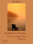 CARTOGRAFII ÎN TRANZIŢIE. Eseuri de sociologia artei şi literaturii
