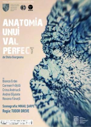 Anatomia unui val perfect Anatomia unui val perfect