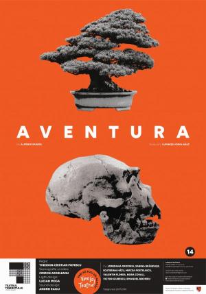 Aventura Aventura