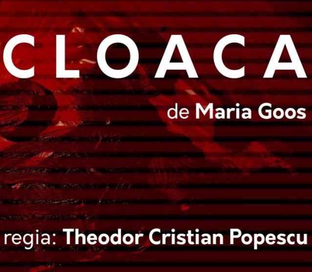 Cloaca Cloaca