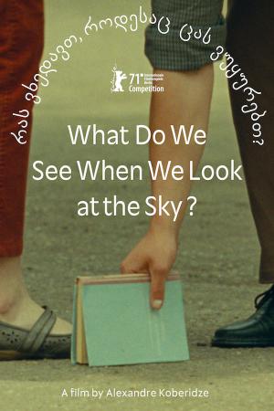 Ras vkhedavt, rodesac cas vukurebt? / What Do We See When We Look at the Sky? / Priveşte către cer 