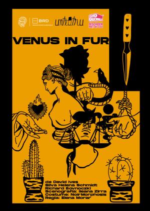 Venus in fur