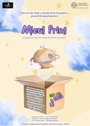 Micul Prinț Micul Prinț
