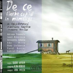 De ce fierbe copilul în mămăligă De ce fierbe copilul în mămăligă
