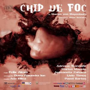 Chip de foc Chip de foc