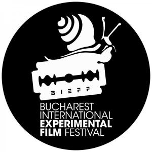 Festivalul Internaţional de Film Experimental BIEFF, 2013