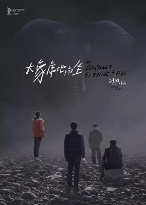 Festivalul TIFF 2019 Festivalul TIFF 2019