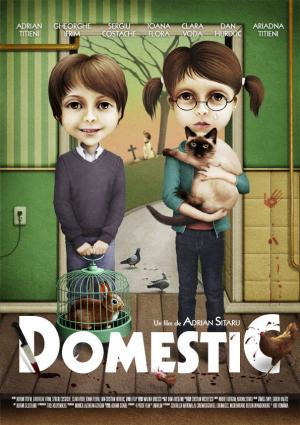 Domestic Domestic
