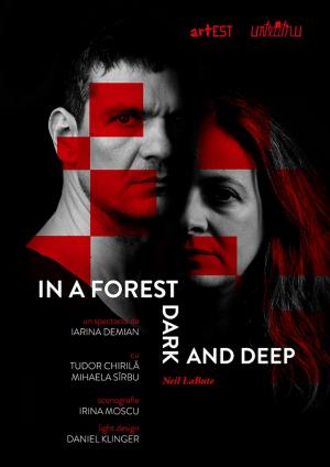 Festivalul Naţional de Teatru, 2019 Festivalul Naţional de Teatru, 2019