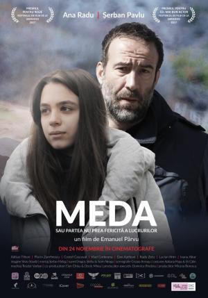Meda sau Partea nu prea fericită a lucrurilor Meda sau Partea nu prea fericită a lucrurilor