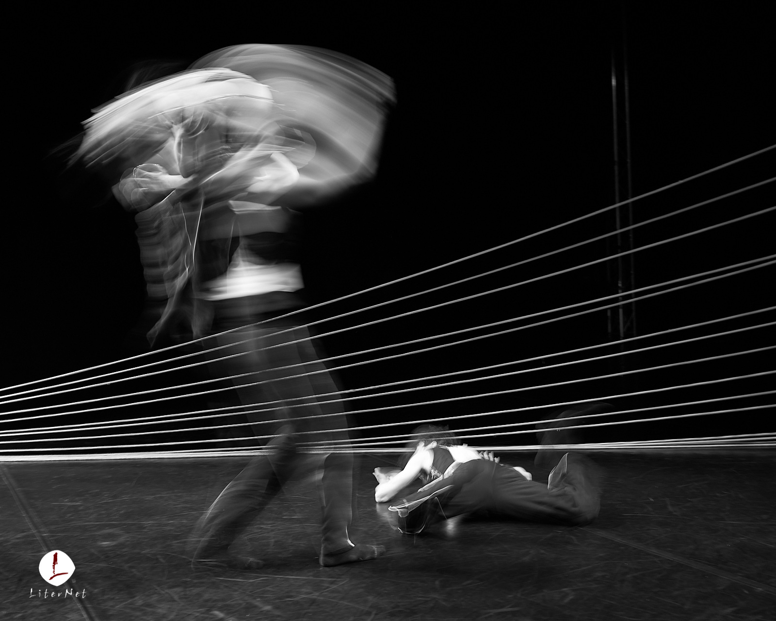 Foto: Dan Moruzan