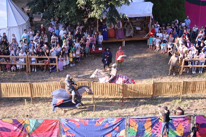 Pelerin în Țările Române