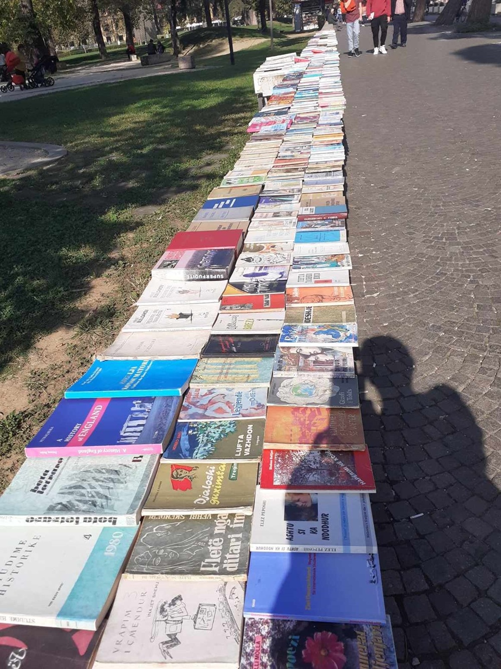 Coloana infinită a educației
