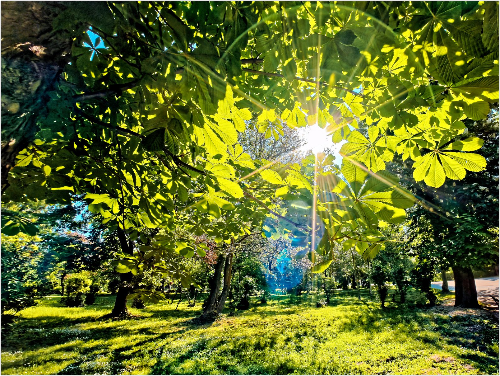 Foto: Dinu Lazăr