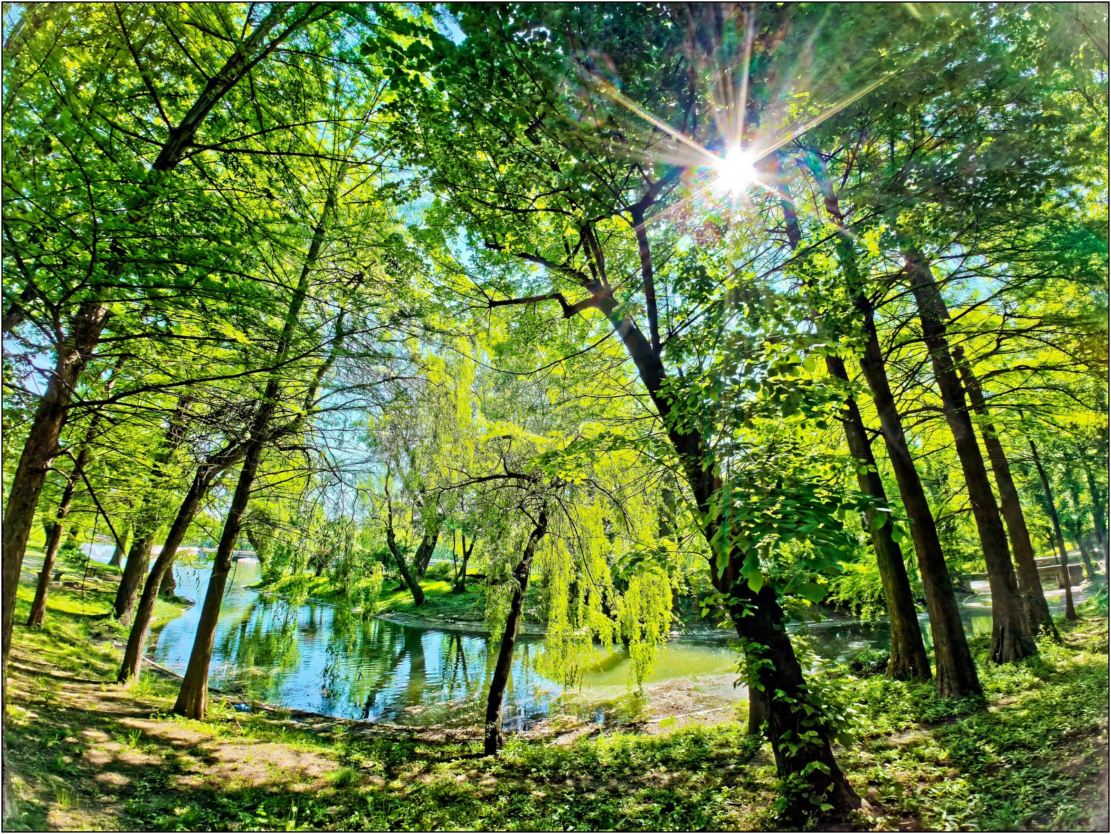 Foto: Dinu Lazăr