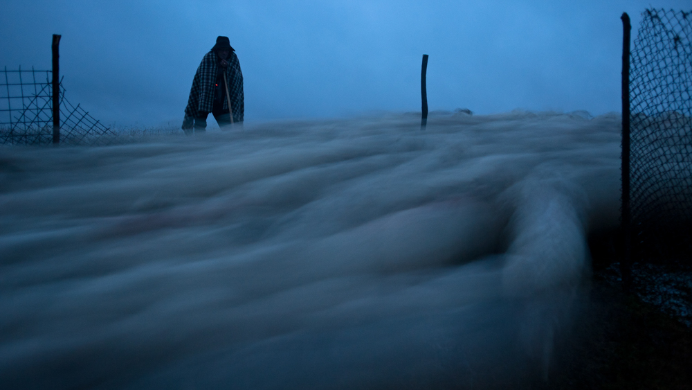 Foto: Dragos Lumpan
