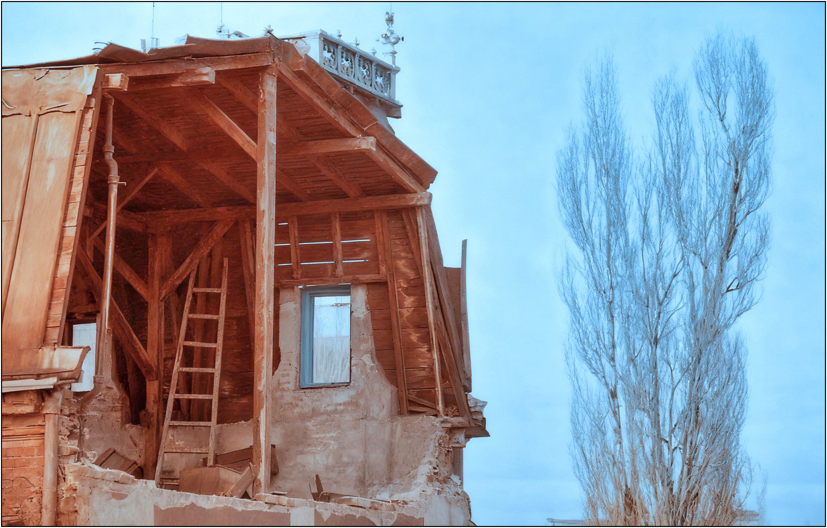 Foto: Radu Ștefănescu