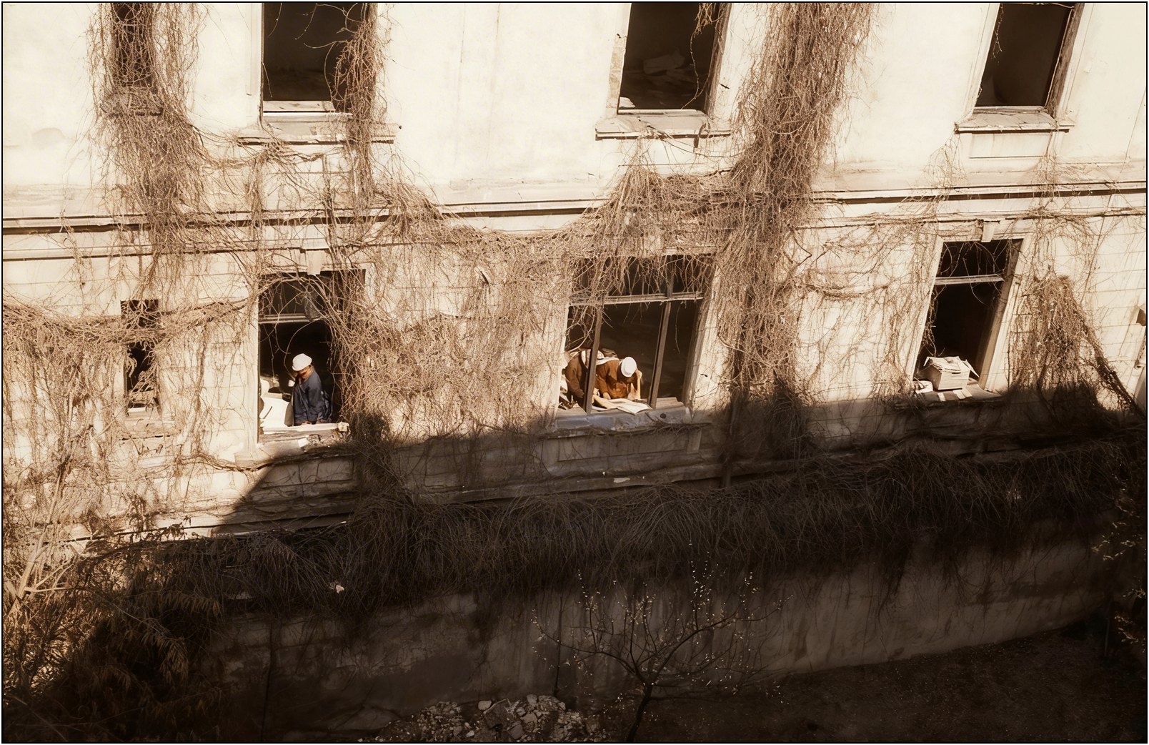 Foto: Radu Ștefănescu