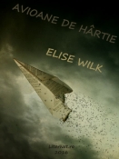 Elise Wilk: Avioane de hârtie