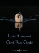 Liviu Antonesei: Check Point Charlie