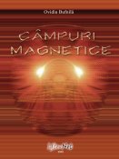 Ovidiu Bufnilă: Câmpuri magnetice