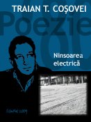 Traian T. Coșovei: Ninsoarea electrică