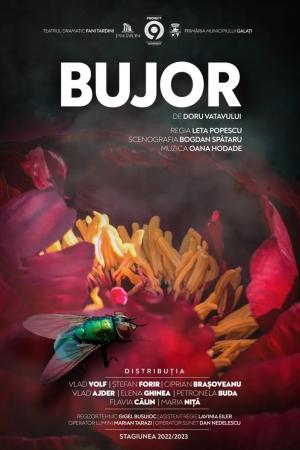 Bujor