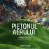 Tamara Constantinescu: În spațiul feeric al Festivalurilor - Pietonul aerului la Întâlnirile Internaționale de la Cluj, FNT și  Interferențe, 2024