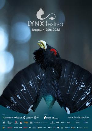 LYNX Festival, Brașov, 2025