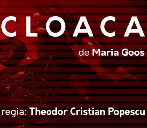 Cloaca