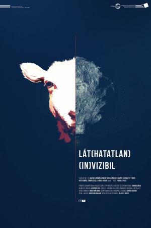 Lát(hatatlan) / (In)vizibil