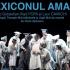 Alina Mariana Maer: Blestemul și cuminecătura Cuvântului - Lexiconul amar