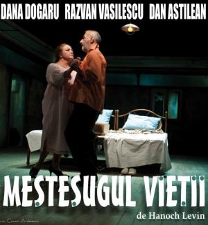 Meşteşugul vieţii