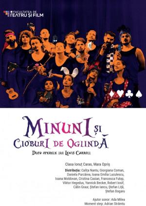 Minuni şi cioburi de oglindă