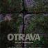 Alina Mariana Maer: Dependența de durere - Otravă