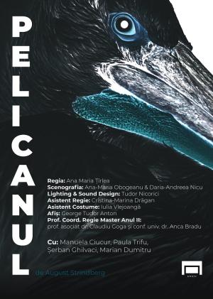 Pelicanul