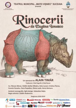 Rinocerii