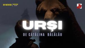 Urși