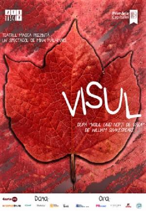 Visul