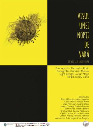 Visul unei nopți de vară