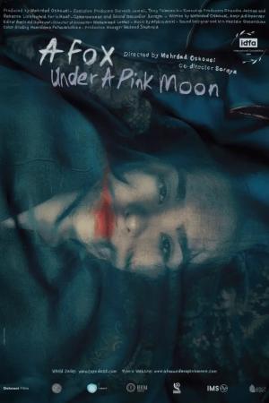 A Fox under a Pink Moon