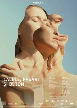 Lalele, păsări și beton