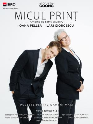 Micul Prinț