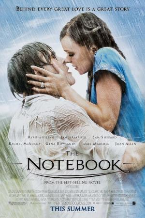 Notebook, The