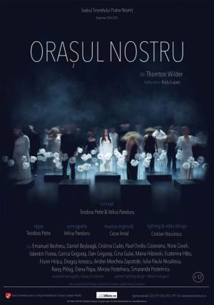 Orașul nostru