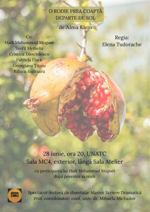 O rodie prea coaptă departe de sol