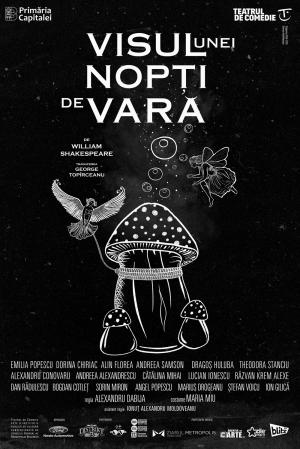 Visul unei nopți de vară