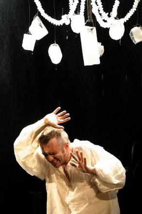 Festivalul Internaţional Shakespeare 2008